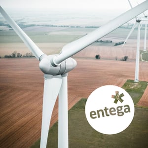 Success Story entega